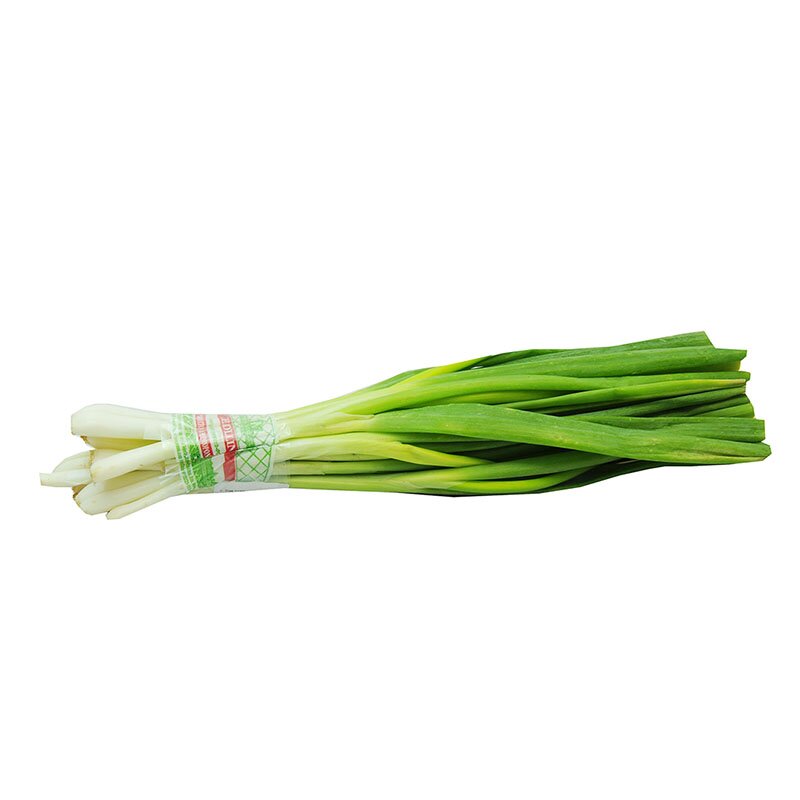 CEBOLLIN ATADO HIDROPONIA 300 GR