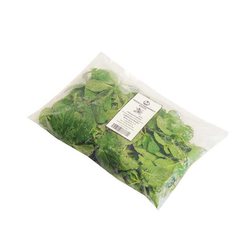 MENTA HIDROPONICA MONTE REAL