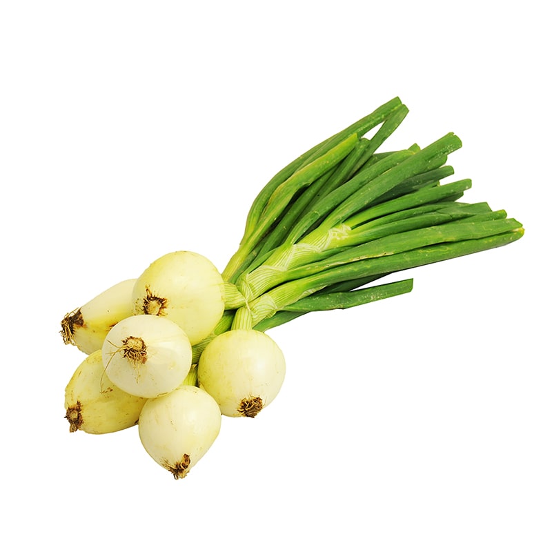 CEBOLLETA DE ATADO