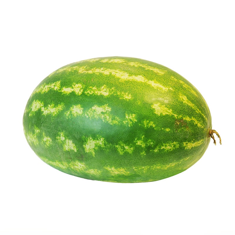 PATILLA 3.5 KG APROX
