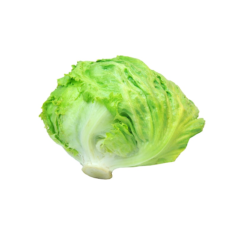 LECHUGA AMERICANA 1 KG APROX