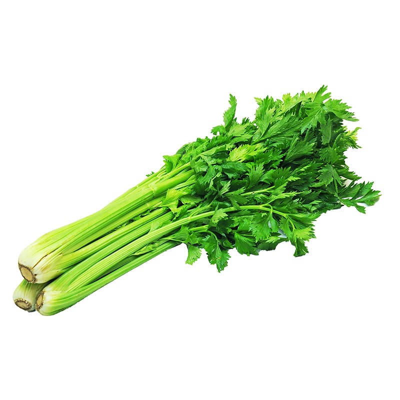 CELERY 800 GR APROX