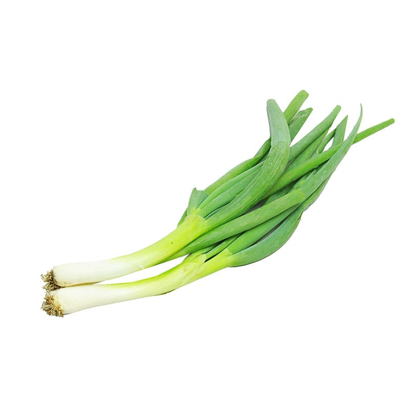 CEBOLLIN KG