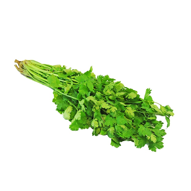 CILANTRO POR 800 GR APROX