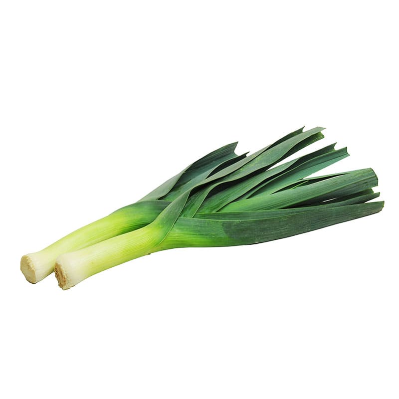 AJO PORRO KG