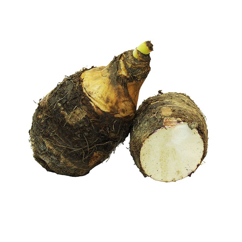 OCUMO CHINO 1.2 KG APROX