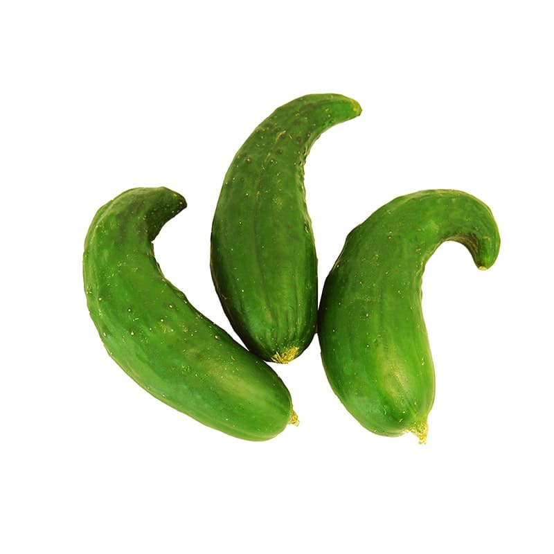 PEPINILLO SIN SEMILLA KG