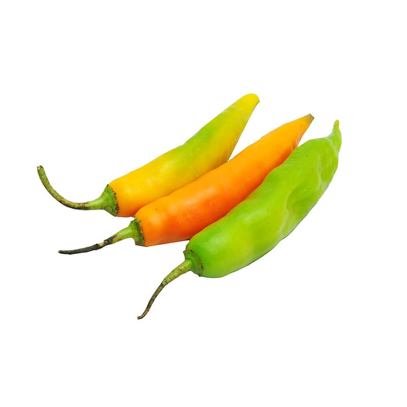 AJI PICANTE JALAPEÑO KG