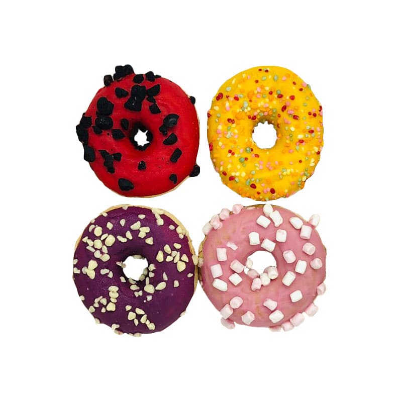 DONAS VARIADAS EUROPASTRY PACK 4