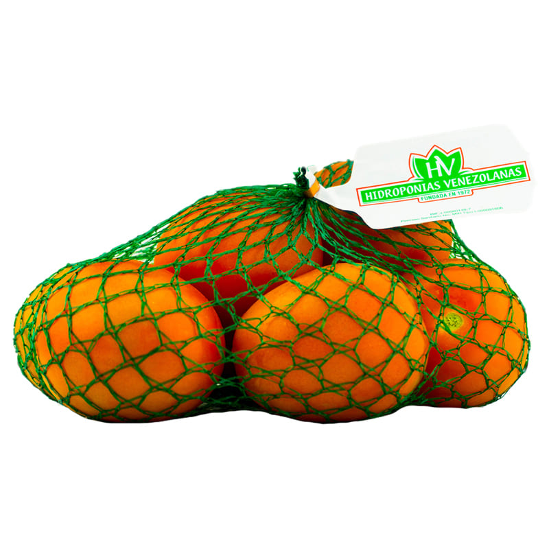 TOMATE HIDROPONIA PERITA HIDROPONICO