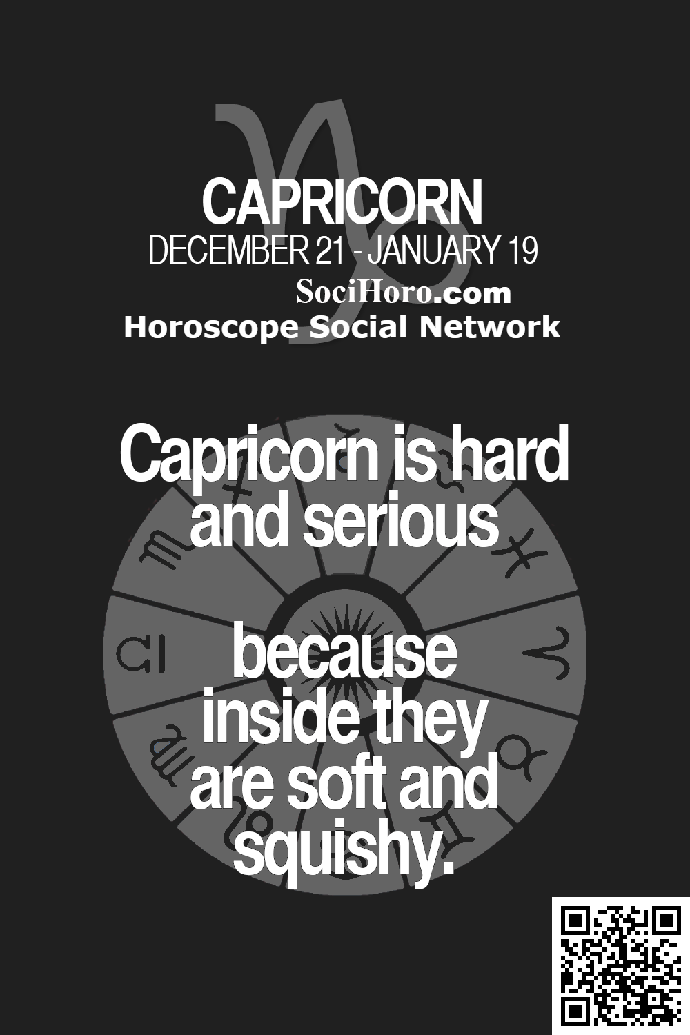 capricorn quotes