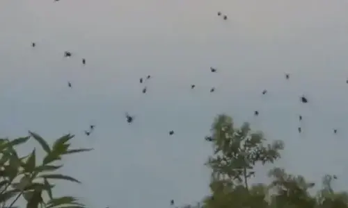10-most-strange-things-from-the-sky-falling