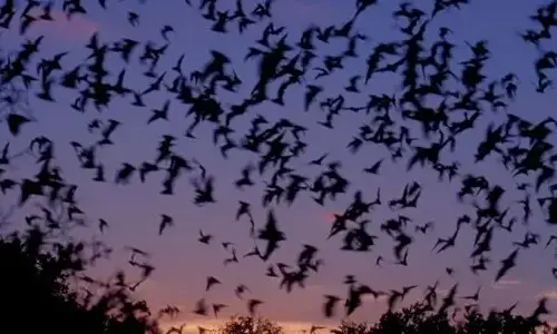 10-most-strange-things-from-the-sky-falling