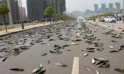 10-most-strange-things-from-the-sky-falling