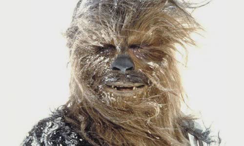 19 fun truth about Chewbacca
