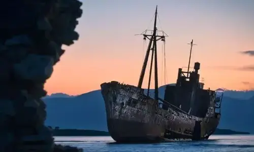 20 strange things have washed ashore