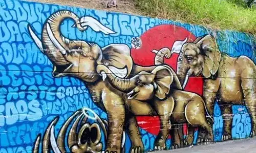 21 interesting facts about Graffiti