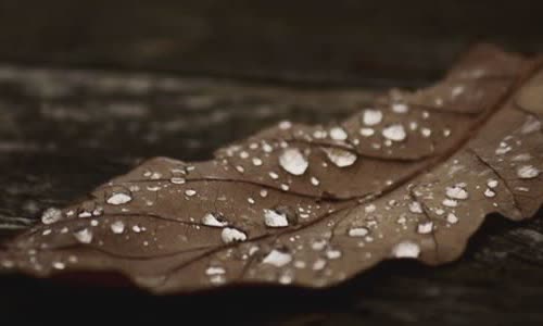 25 truth about brown