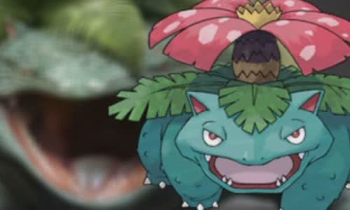 30-courage-truth-about-venusaur