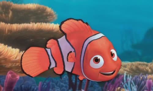 5 convenience of Nemo