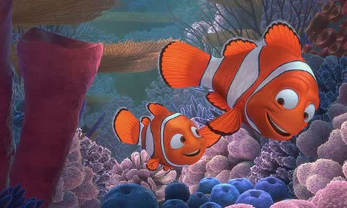 5-convenience-of-nemo