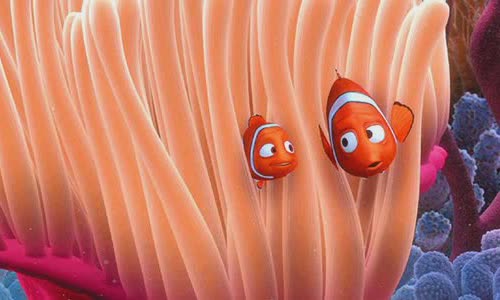 5-convenience-of-nemo