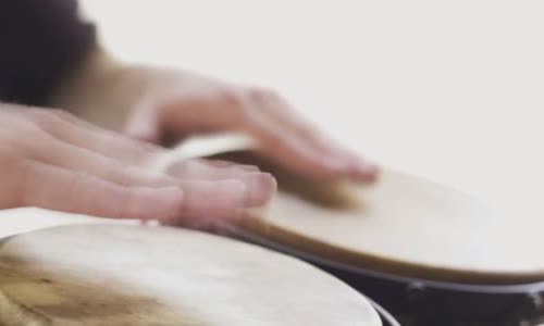 5-the-booming-truth-about-bongo-drums