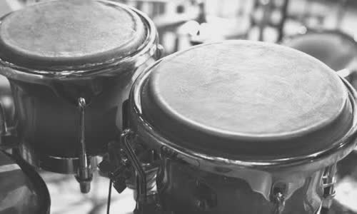 5-the-booming-truth-about-bongo-drums