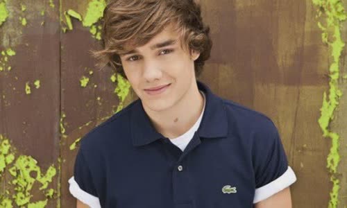 50 interesting facts about Liam Payne