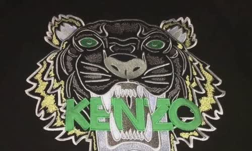 8-great-truth-about-kenzo