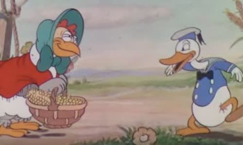 attractive-history-of-donald-duck