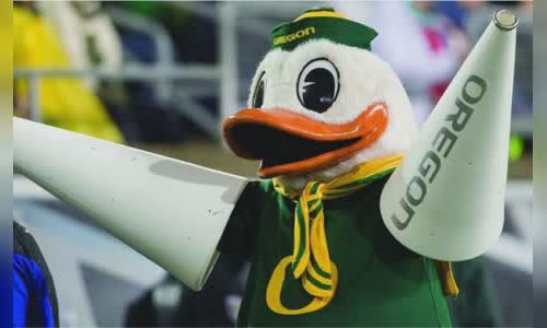 attractive-history-of-donald-duck
