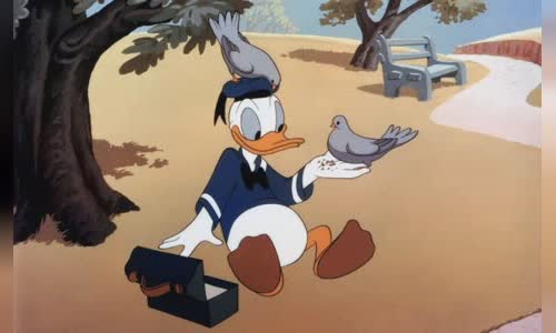 attractive-history-of-donald-duck