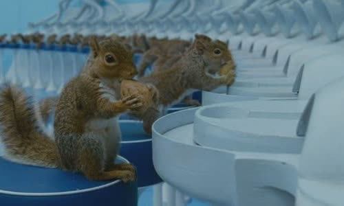 Charlie and squirrel squirrel chocolate are real