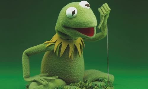 interesting-truth-about-frog-kermit