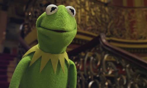 Interesting truth about frog kermit