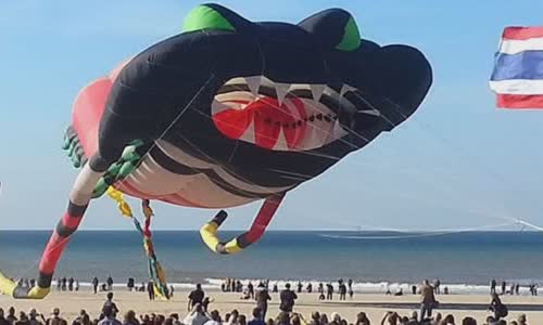 interesting-truth-about-kite-flying-kite-flying