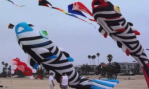 interesting-truth-about-kite-flying-kite-flying