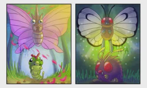 Pokémon - a venomoth / butterfree theory