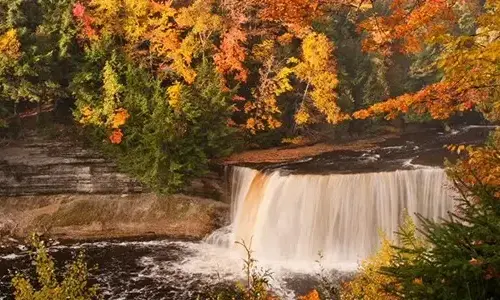 why-do-britons-say-autumn-instead-of-autumn