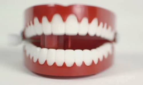 10 crazy truth about your teeth