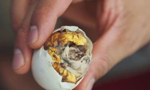 10-crazy-ways-to-cure-a-hangover