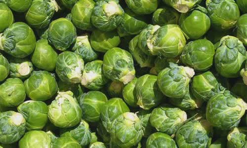 10 lively truth about Brussels sprouts