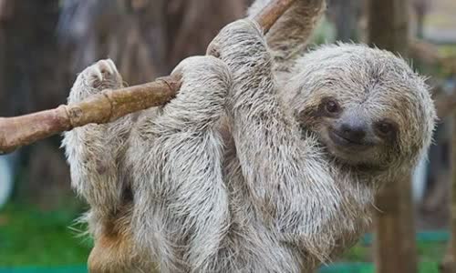10 surprisingly cold truth about lazy children