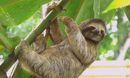 10-surprisingly-cold-truth-about-lazy-children
