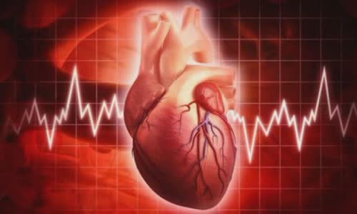 10 truth about human heart