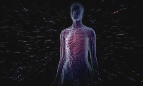 100 amazing truth that you don't know about your body