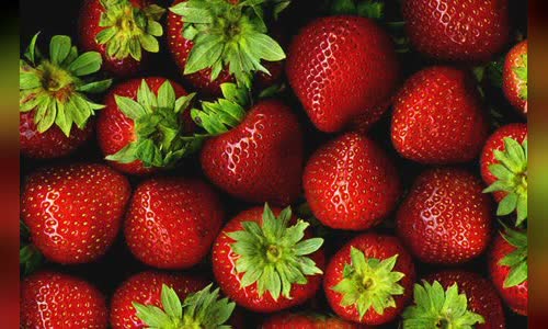 100-interesting-facts-you-wont-believe-the-truth