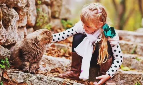 100-truth-about-cats-that-you-should-read-right-meow
