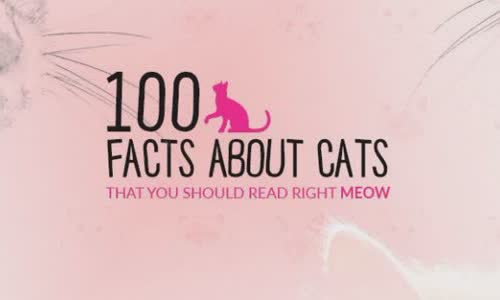 100 truth about cats that you should read right meow